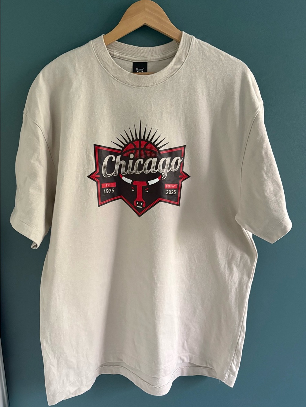 Chicago Graphic Tee With Basketball Logo, Sand, Unisex Size Medium, NWOT